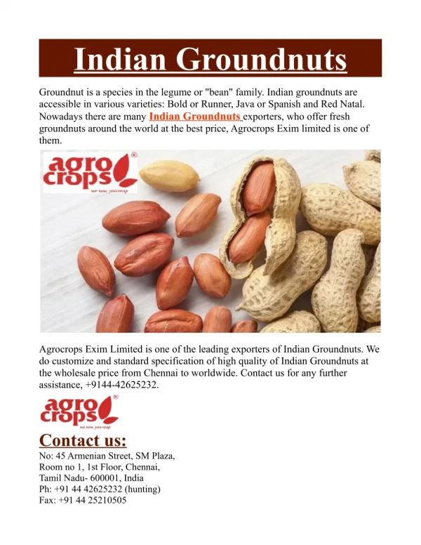 Indian Groundnuts