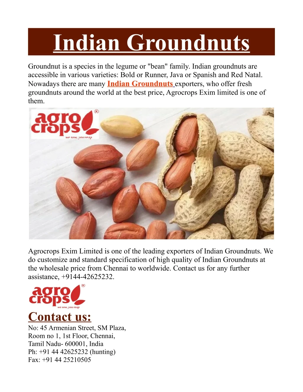 indian groundnuts