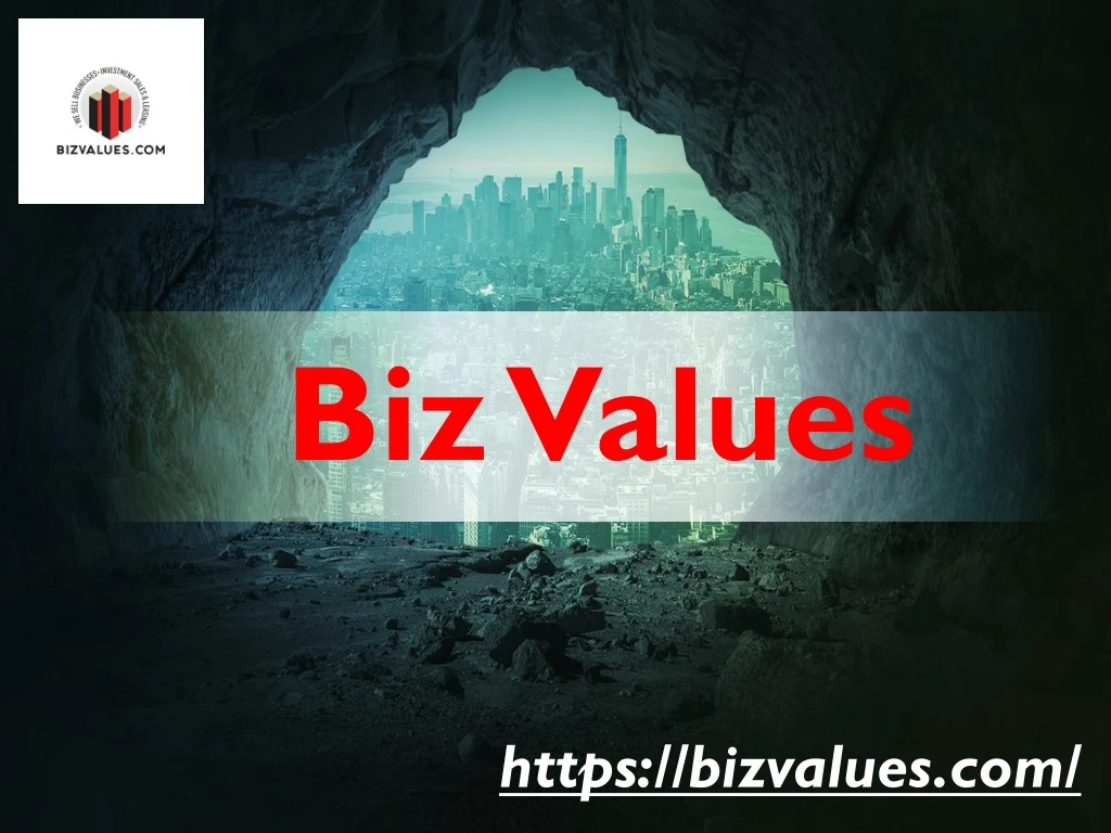 biz values