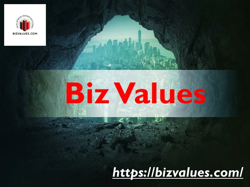 biz values