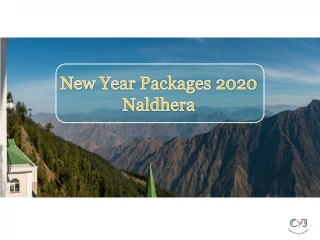 New Year Packages 2020 | New Year Party - slide 1
