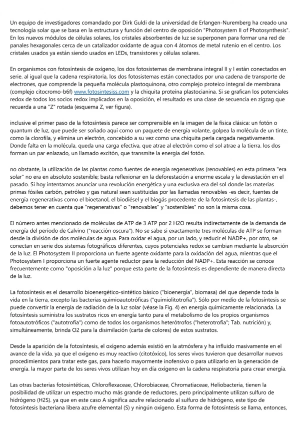 un equipo de investigadores comandado por dirk