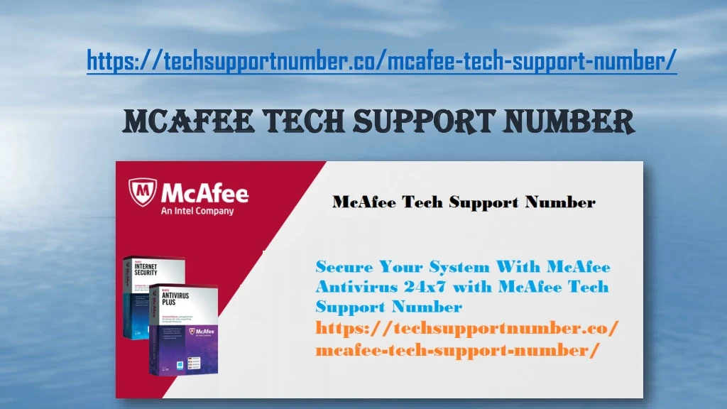 mcafee tech support number