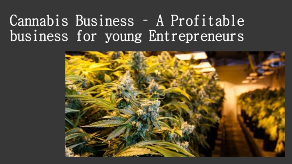 Cannabis Business – A Profitable business for young Entrepreneurs