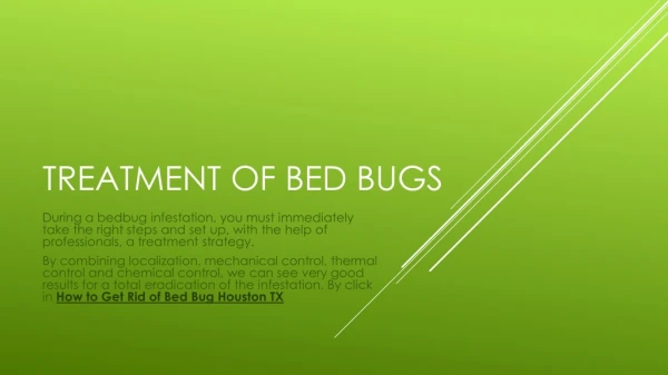 Bed Bugs Exterminator Cost Houston TX