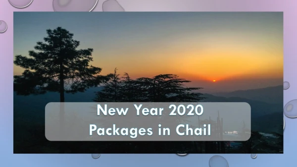 New Year Party 2020 | New Year 2020 Packages in Chail