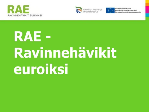 RAE - Ravinneh vikit euroiksi