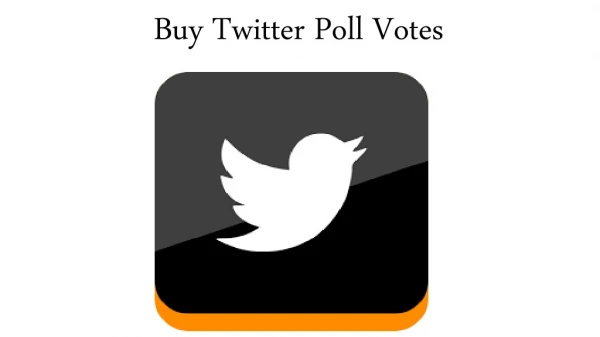 Way to be Wiser with Buy Twitter Poll Votes