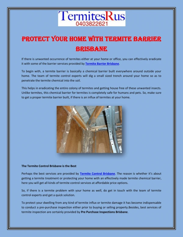 Protect Your Home With Termite Barrier Brisbane