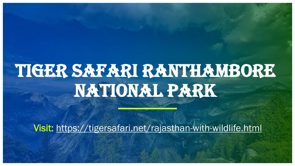 tiger safari ranthambore national park