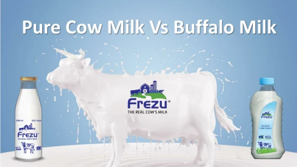 Pure cow milk vs buffalo milk