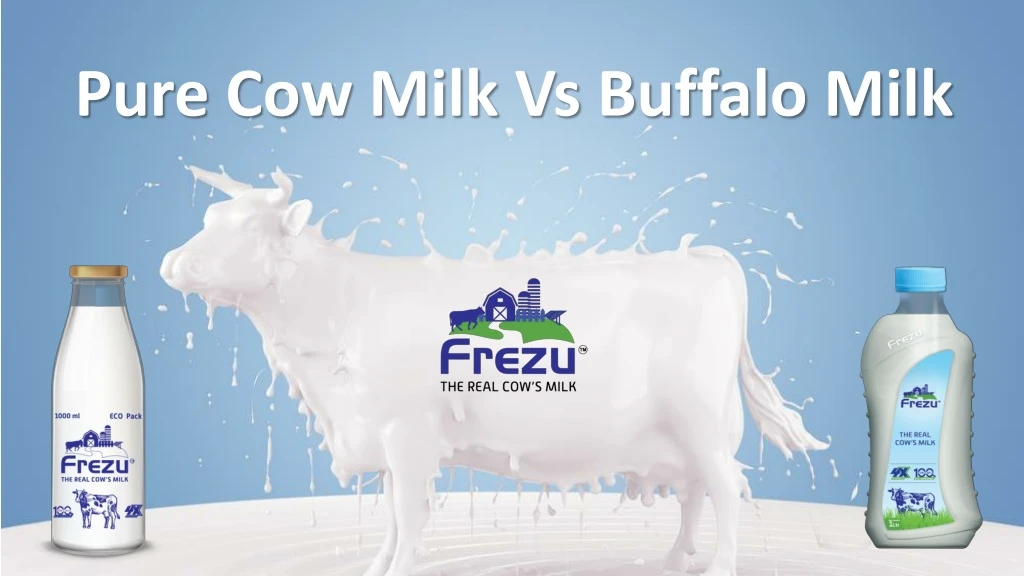 pure cow milk vs buffalo milk