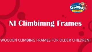 Outdoor Playhouses for Kids | NI Climbing Frames - slide 1