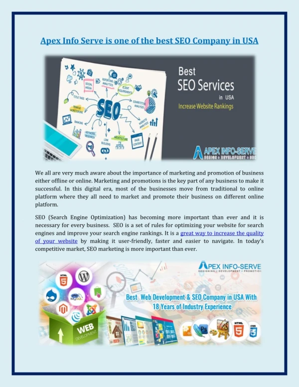 Apex Info Serve is one of the best SEO Company in USA