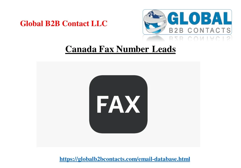 global b2b contact llc