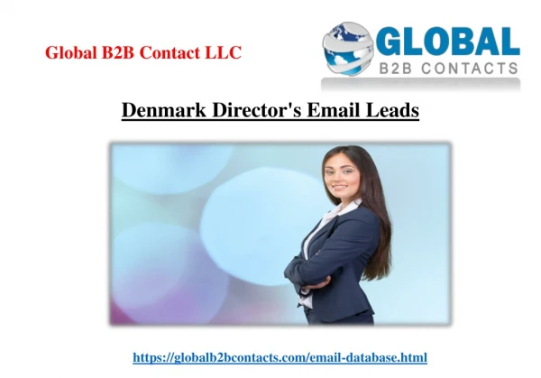 Denmark Director's Email Leads