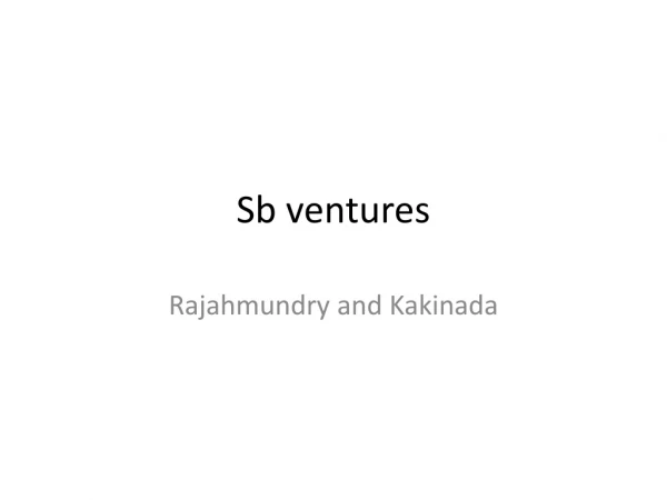 sbventure