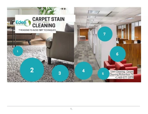 7 Reasons why you should go for a carpet cleaning professional in Richardson,TX 6 views