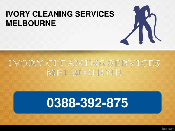 Professional Carpet Steam Cleaning in Melbourne