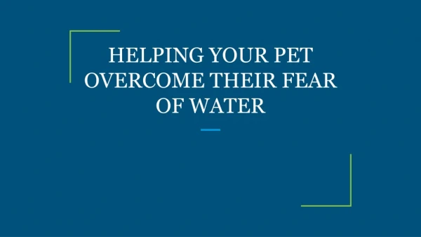 HELPING YOUR PET OVERCOME THEIR FEAR OF WATER