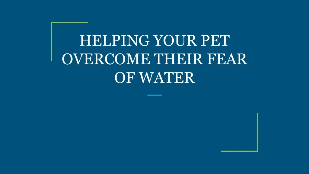 helping your pet overcome their fear of water