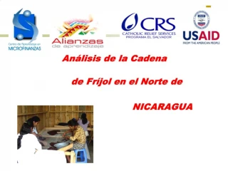 An lisis de la Cadena - slide 1
