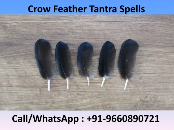 Crow Feather Tantra Spells