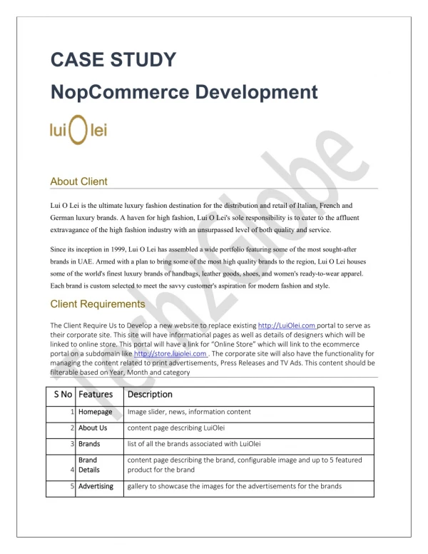 NopCommerce Development