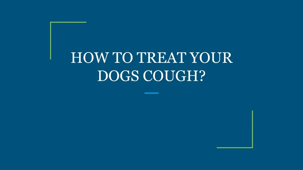 how to treat your dogs cough