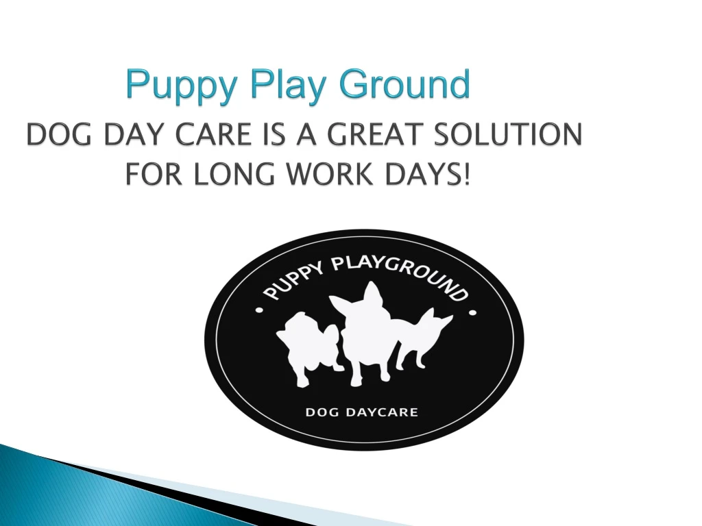 puppy play ground dog day care is a great solution for long work days