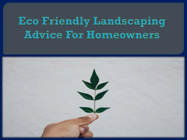 Eco Friendly Landscaping Advice For Homeowners