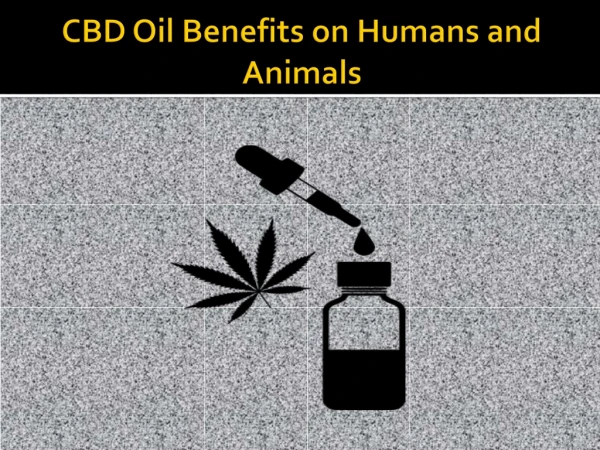 Use CBD Oil to treat Human and Animal Disease