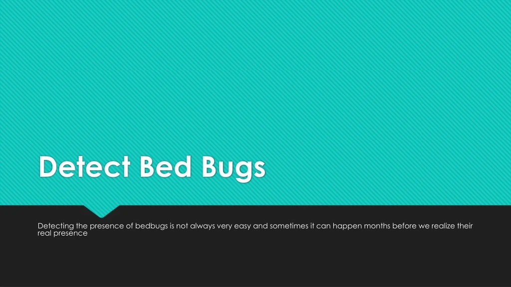 detect bed bugs