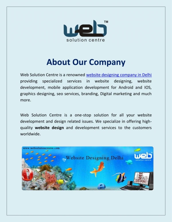 Best Website Designing Company In Delhi