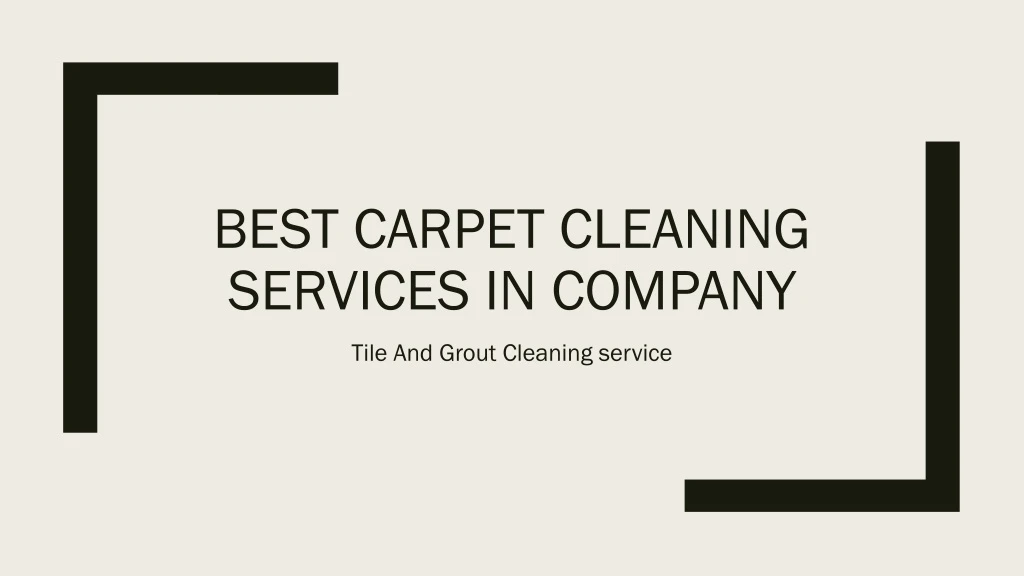best carpet cleaning services in company