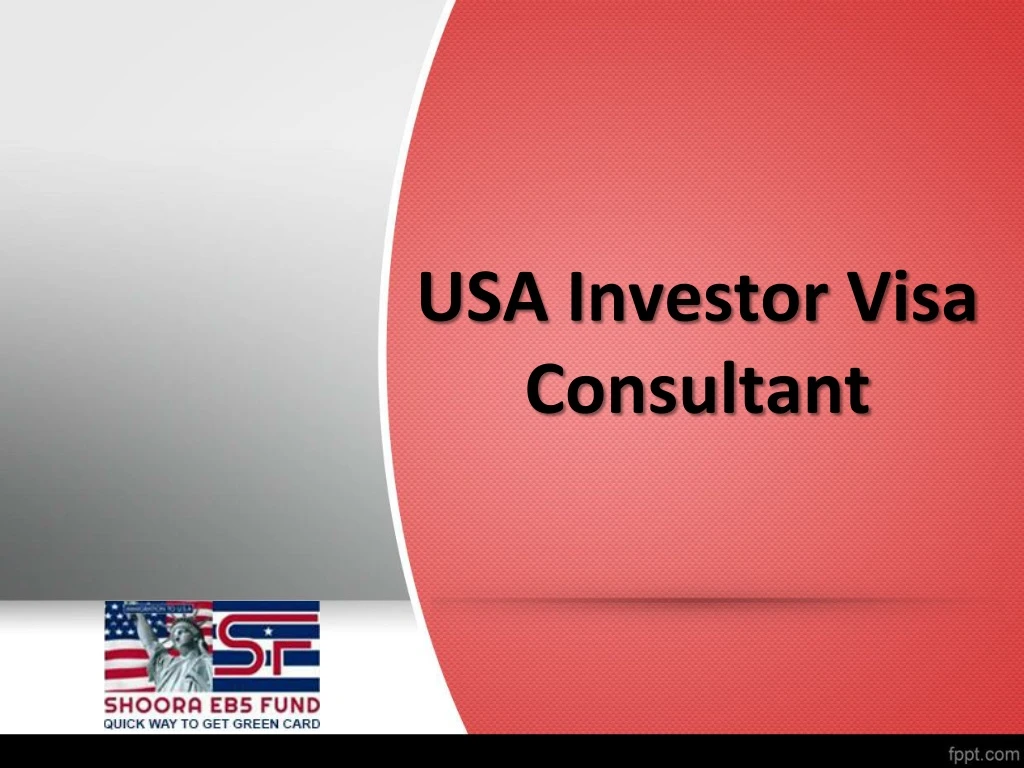 usa investor visa consultant