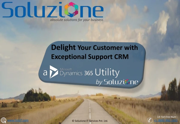 Microsoft Dynamic 365 CRM for Customer Support