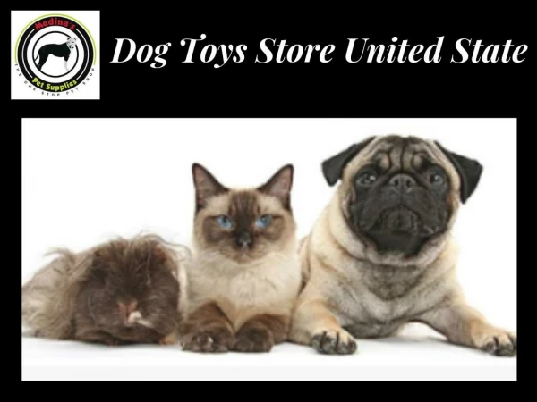 Dog Toys Store United State