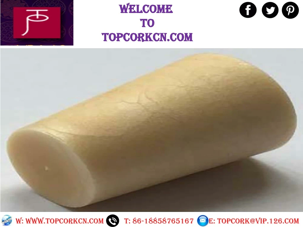 welcome to topcorkcn com