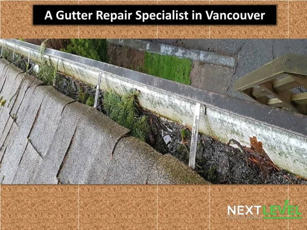 A Gutter Repair Specialist in Vancouver