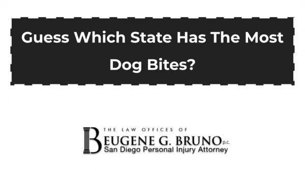 Guess Which State Has The Most Dog Bites?