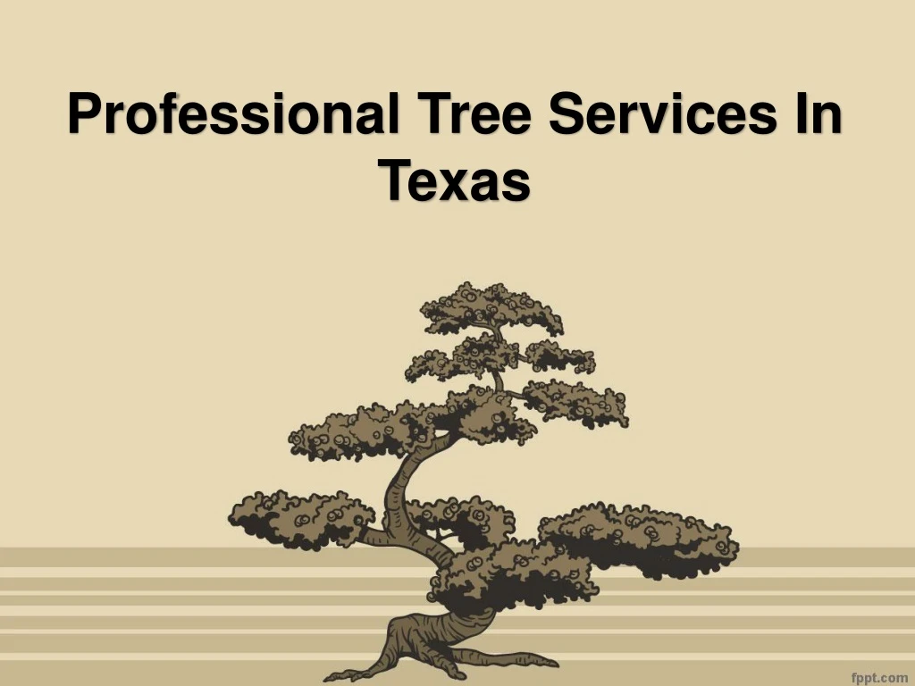 professional tree services in texas