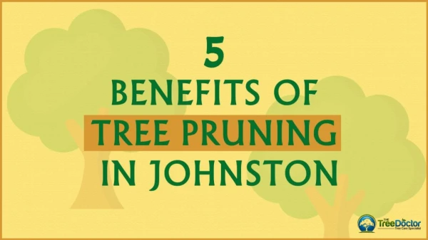 5 Benefits of Tree Pruning in Johnston