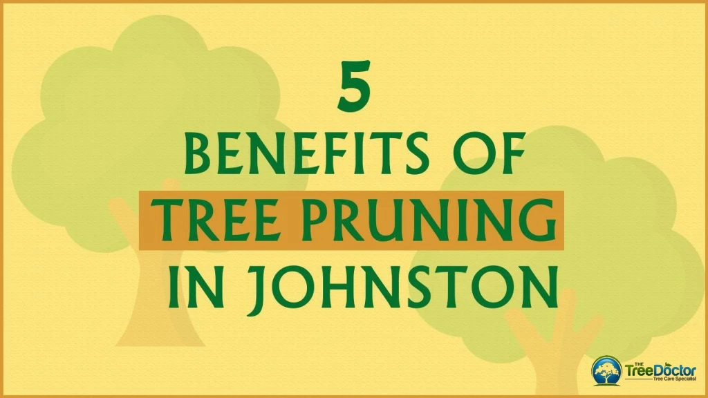 5 benefits of tree pruning in johnston