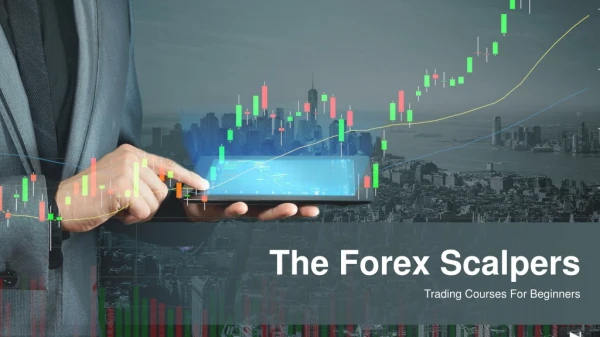 Best Trading Courses For Beginners - The Forex Scalpers