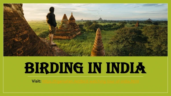 birding in india