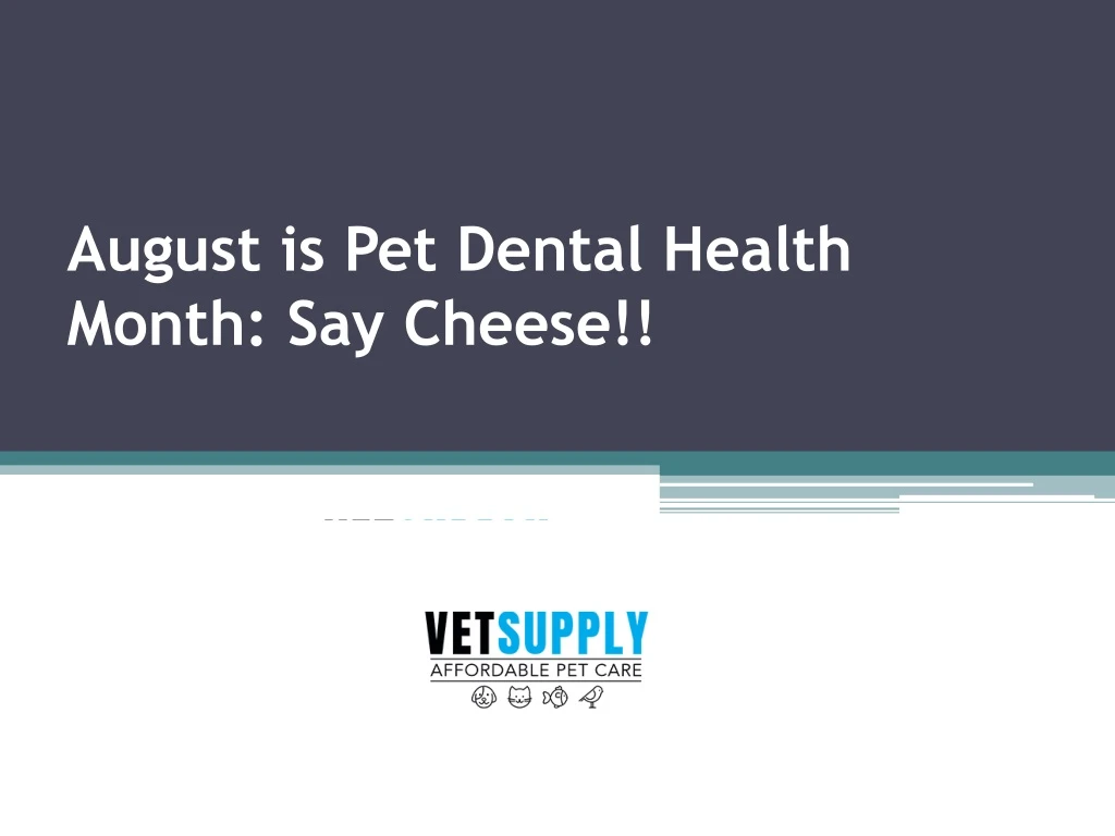 august is pet dental health month say cheese