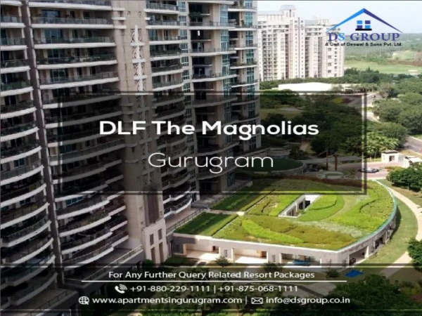 DLF Magnolias- 4 BHK Flats in Gurgaon/ Gurugram