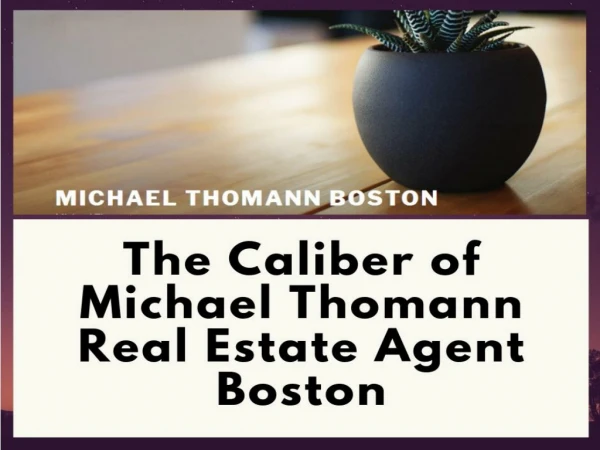 Michael Thomann, Michael Thomann Consulting Boston, Michael Thomann Boston, Michael Thomann Masschusetts, Michael Tho