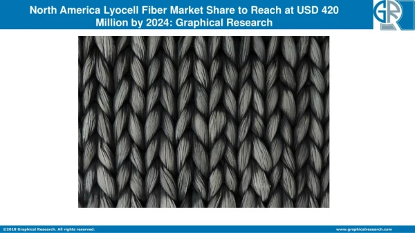 North America Lyocell Fiber Market 2019 Industry Analysis, Size, Share, Growth, Trends and Forecast by 2024
